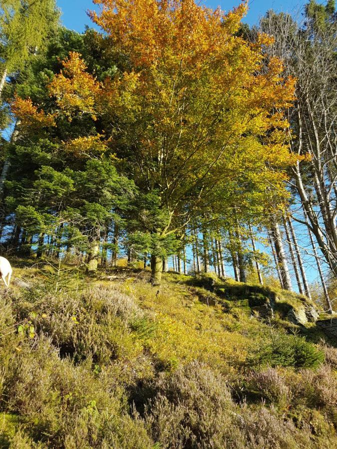Freundliche Unterkunft Sauerland เมสเชอเดอ ภายนอก รูปภาพ