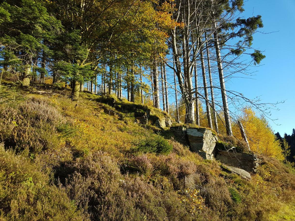 Freundliche Unterkunft Sauerland เมสเชอเดอ ภายนอก รูปภาพ